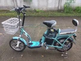 Selis Mandalika, Aki baru, body kokoh