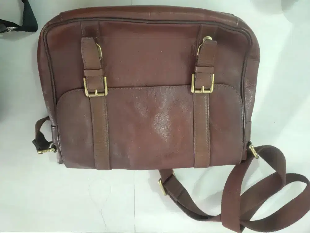 Tas fosil original