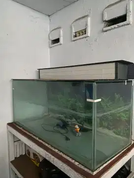 Aquarium ikan besar bekas jual murah banget