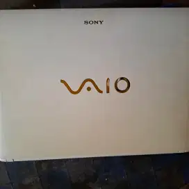 Sony Vaio Touch screen