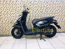 honda genio 2024 Dp 500 Rb