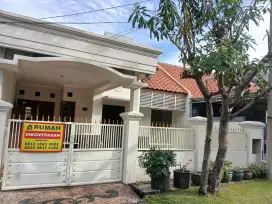 Disewakan Rumah