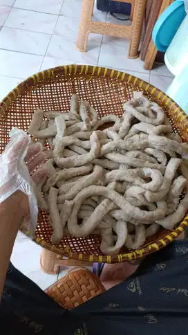 SEMPOL AYAM LEJAT DAN BERGIJI.