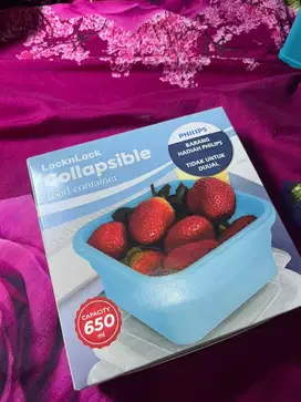 Lock n lock collapsible wadah makanan