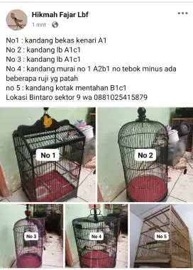 Kandang burung murai kenari lovebird