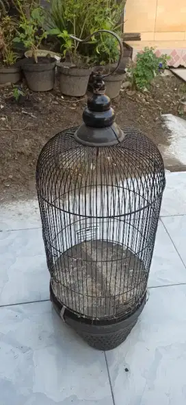 Sangkar kandang labet lovebird