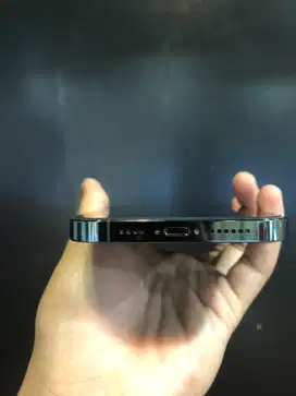 13 promax 256gb