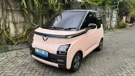 Wuling airev long range  300