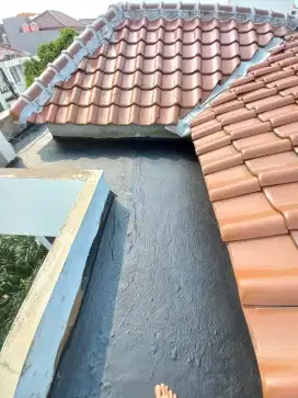Tukang perbaikan atap bocor,dag,talang,kanopi,renopasi,dll