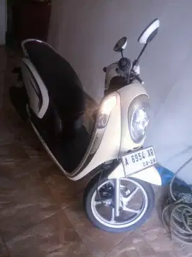 Honda Scoopy 2013