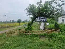 Dijual Tanah luas 166m2 nol jalan raya jombang-kediri