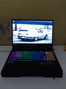Acer Nitro 5 AN 515