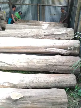 Kusen pintu jendela jati