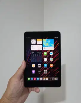 Ipad mini 5 64gb wifi Cellular