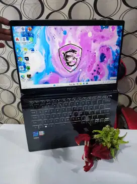 MSI Modern 14 C11M E14J3IMS-108 (SSD 1 TB)