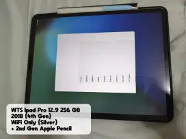 IPAD PRO 12.9 4TH GEN 256 GB WIFI ONLY