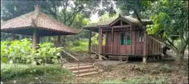 Murah - tanah kavling buat perkebunan ternak dan tanaman