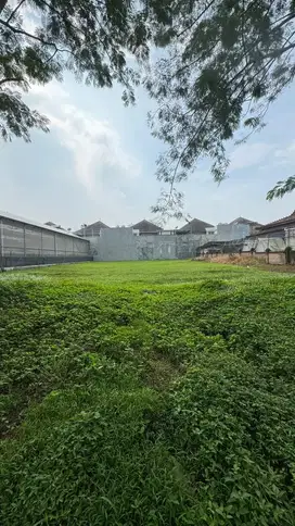 PALING MURAH SE CITRALAND TANAH KOMERSIAL 0 JALAN RAYA DISEWAKAN