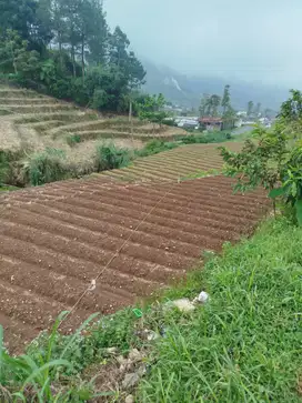 DIJUAL TANAH DI GATAKSARI KEJAJAR WONOSOBO COCOK UNTUK USAHA