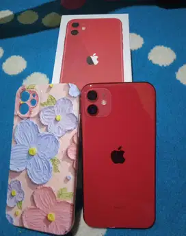 iPhone 11 64gb inter LL/A