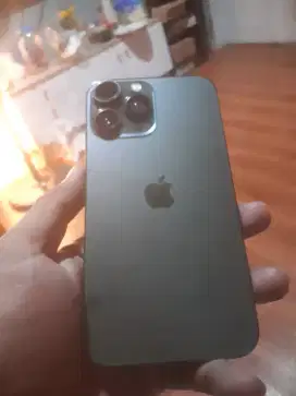Iphone xr housing 13 pro green