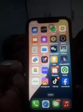 Iphone xr housing 13 pro green