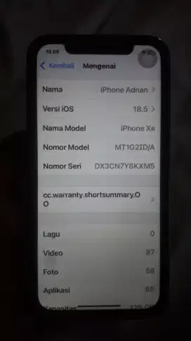 Iphone xr housing 13 pro green