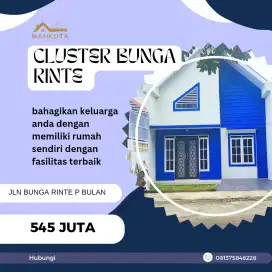 CLUSTER BARU BUNGA RINTE DIMENSI 6X20