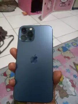 Jual iphone 12 promax 256gb warna biru ex ibox
