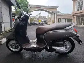 Scoopy stylish thn 2022