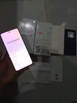 Xiaomi 14T Grey 12/512