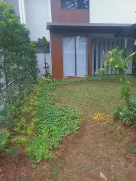 Terima jasa bikin taman