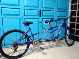 Sepeda tandem POLYGON IMPRESSION full Upgrade