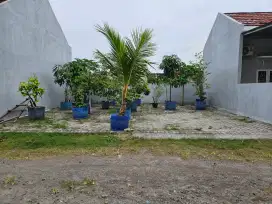 Dijual sebidang tanah