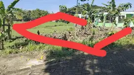 Jhon- DiJual Tanah di JALAN MAKAM , Saradan , Madiun