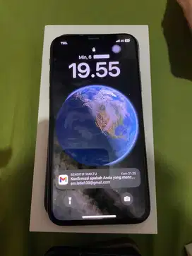 Iphone X 256 Gb All operator