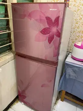Kulkas SHARP 2Pintu Warna Pink