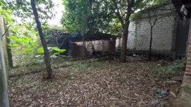 Taufik - Sewa Rumah KEMBANGAN - Pungging Mojokerto