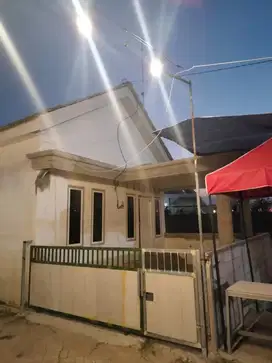 Taufik - Jual Rumah JL BALAI DESA PAGERLUYUNG GEDEG - Gedeg Mojokerto