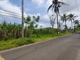 Dijual Tanah Tlogowaru Kedung Kandang Malang