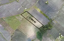 Tanah Murah Dekat Tanah Lot Beraban Tabanan Bali