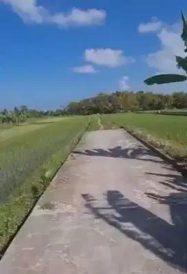 Tanah Murah Dekat Tanah Lot Beraban Tabanan Bali