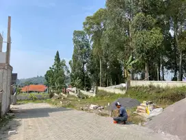 TANAH MURAH DI BANDUNG BARAT DEKAT DUSUM BAMBU DAN LEMBANG PARK ZOO