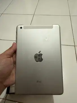 Ipad Mini 1 Wifi + cell ex ibox