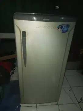 kulkas 1 pintu merk toshiba glacio