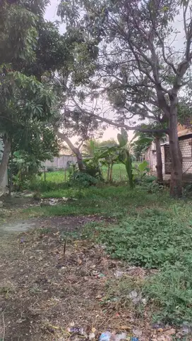Taufik - DiJual Tanah di JL RAYA SURABAYA-BOJONEGORO , Baureno , Bojon