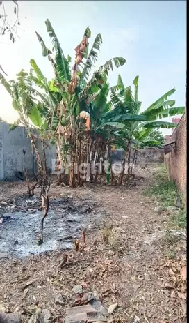 Taufik - DiJual Tanah di DUSUN GATOEL , Puri , Mojokerto