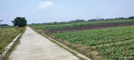 Taufik - DiJual Tanah di DESA SAKETI MOJOAGUNG , Mojoagung , Jombang