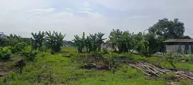 Taufik - DiJual Tanah di KEDUNGREJO WEDORO , Candi , Sidoarjo