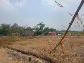 Taufik - DiJual Tanah di DESA SELO RAWAN SAWO , Kutorejo , Mojokerto